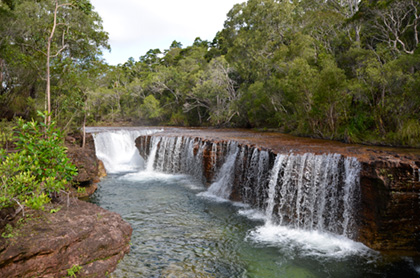 cape-york-tagalong-2