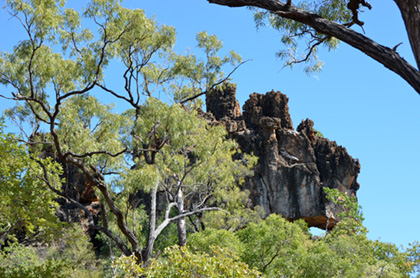 cape-york-tagalong-3