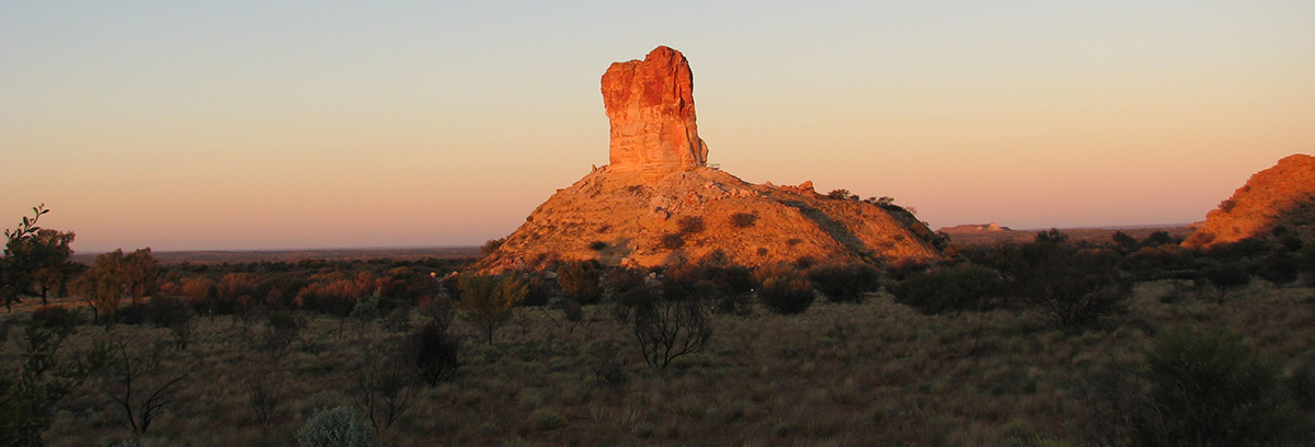 simpson desert tagalong tours