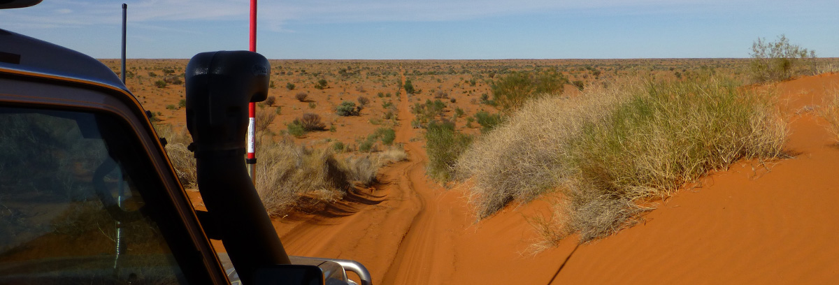 simpson desert tagalong tours