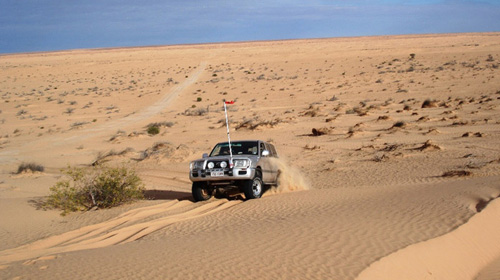 simpson desert tagalong tours